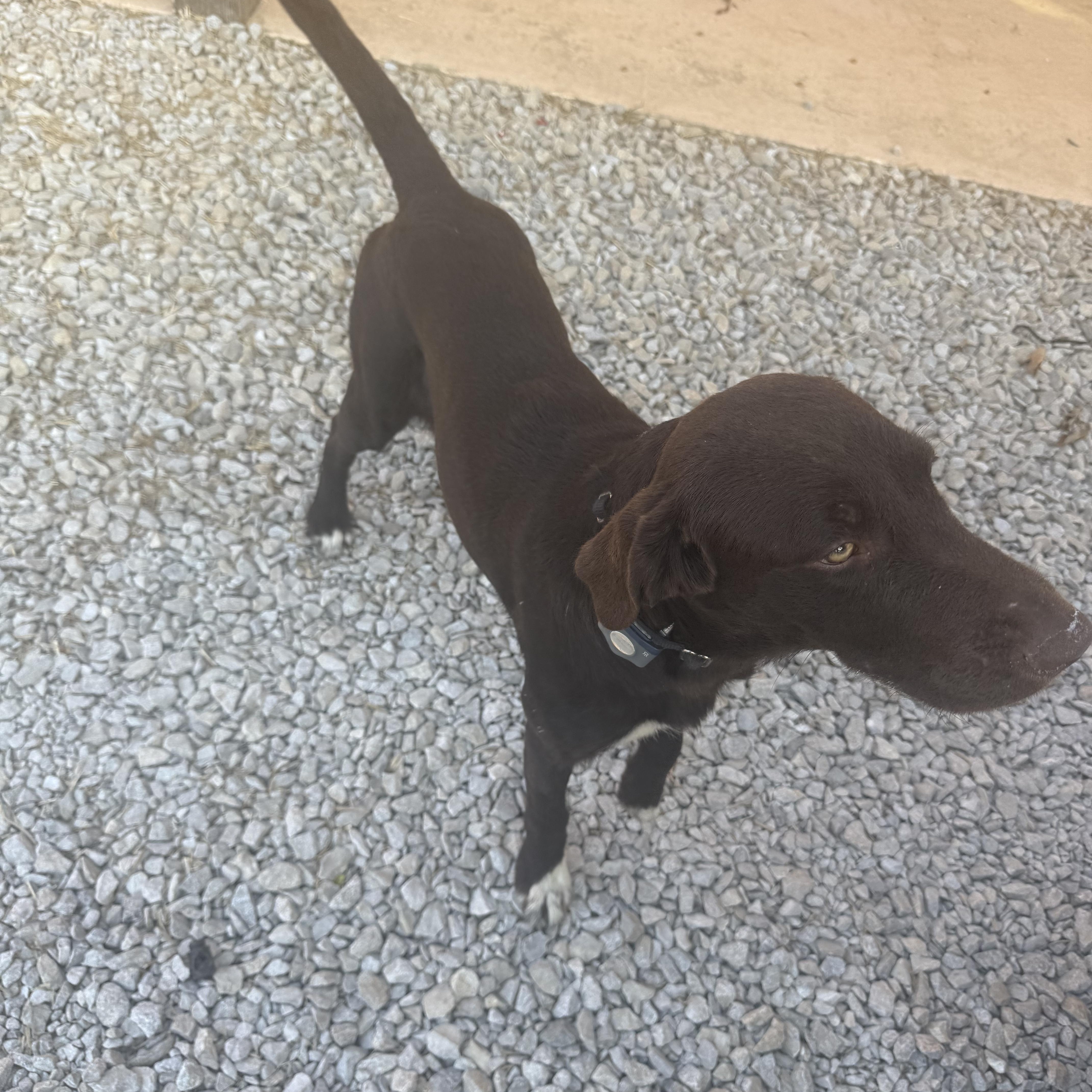 Laurenzo thumbnail 4