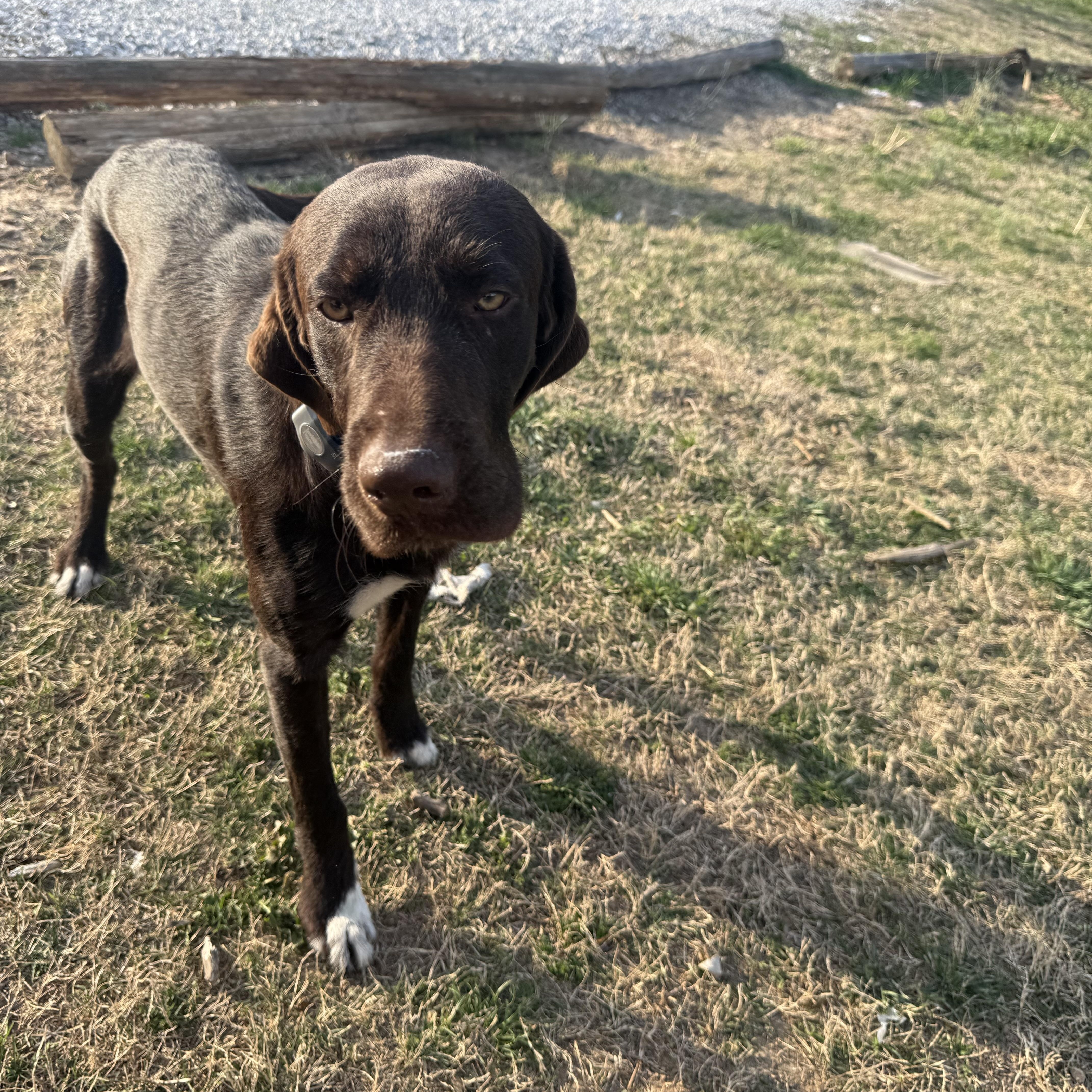 Laurenzo thumbnail 5