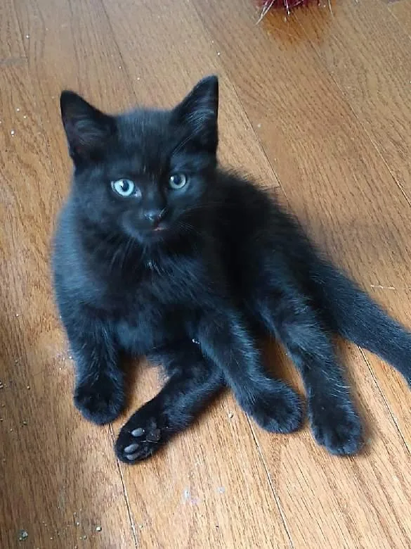 Rico