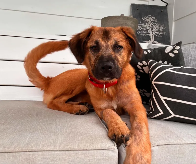 Milton thumbnail 6