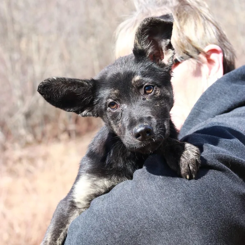 Ct Candyland thumbnail 4