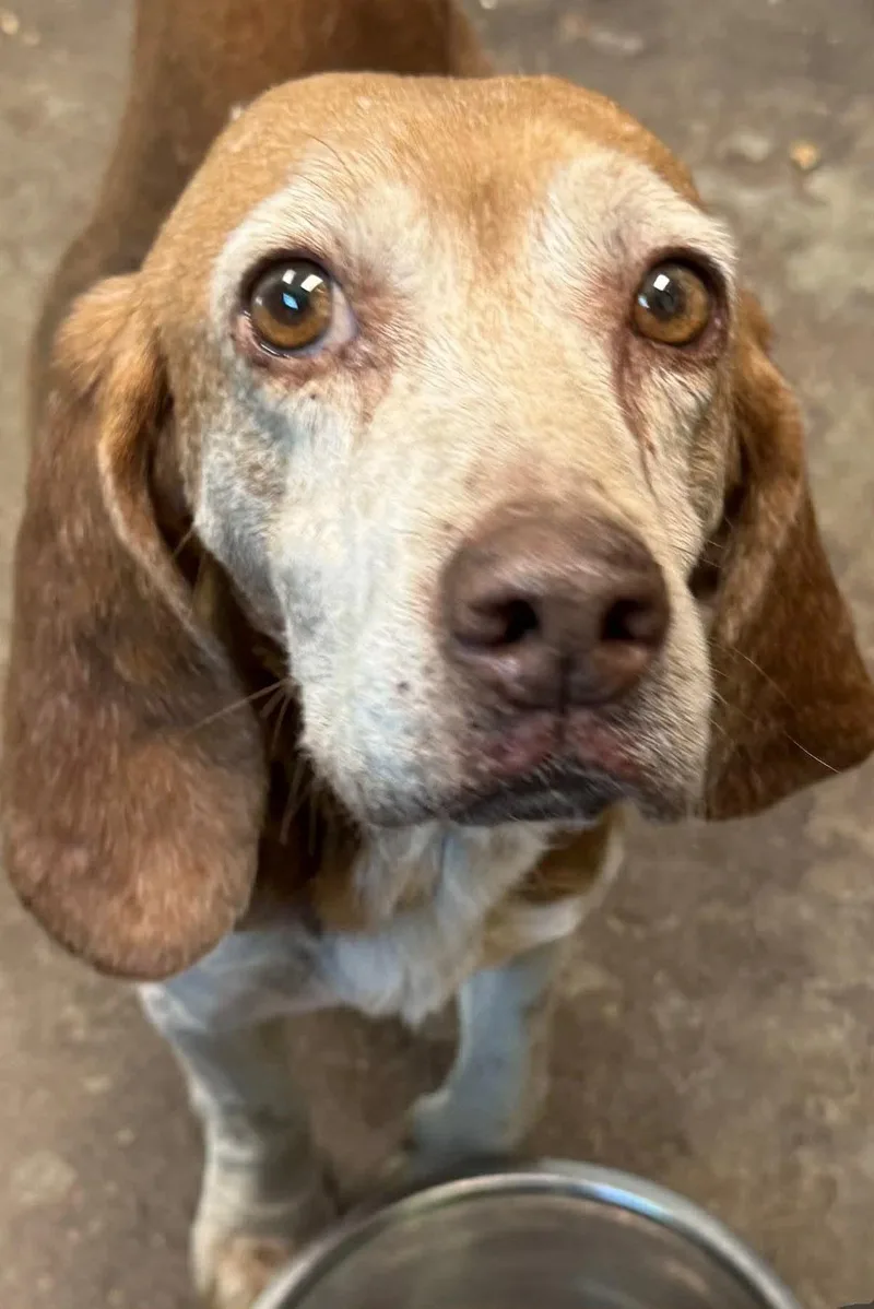 Slowpoke thumbnail 3