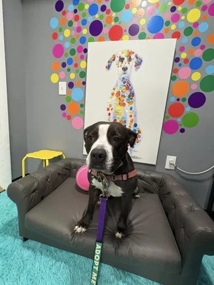 Secretary thumbnail 2