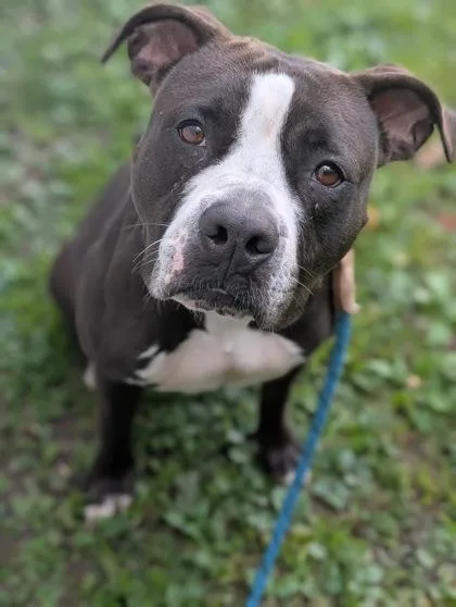 Secretary thumbnail 4