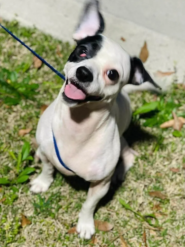 Charmaine 🩷 thumbnail 2