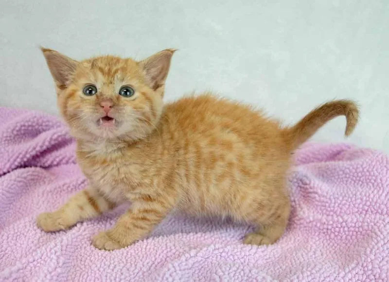 Lauderdale thumbnail 4