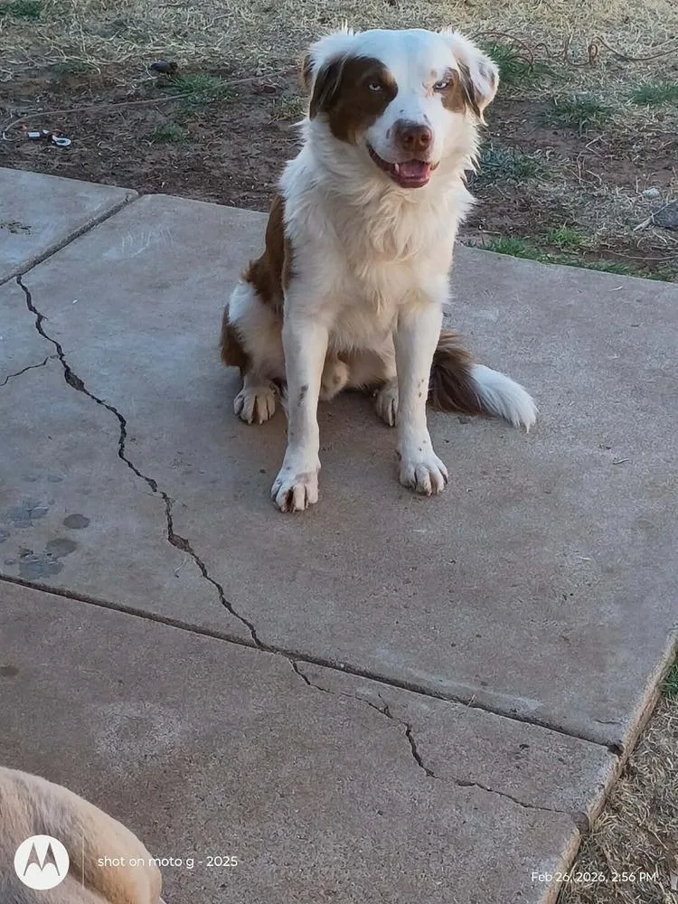 Benny Berry thumbnail 2