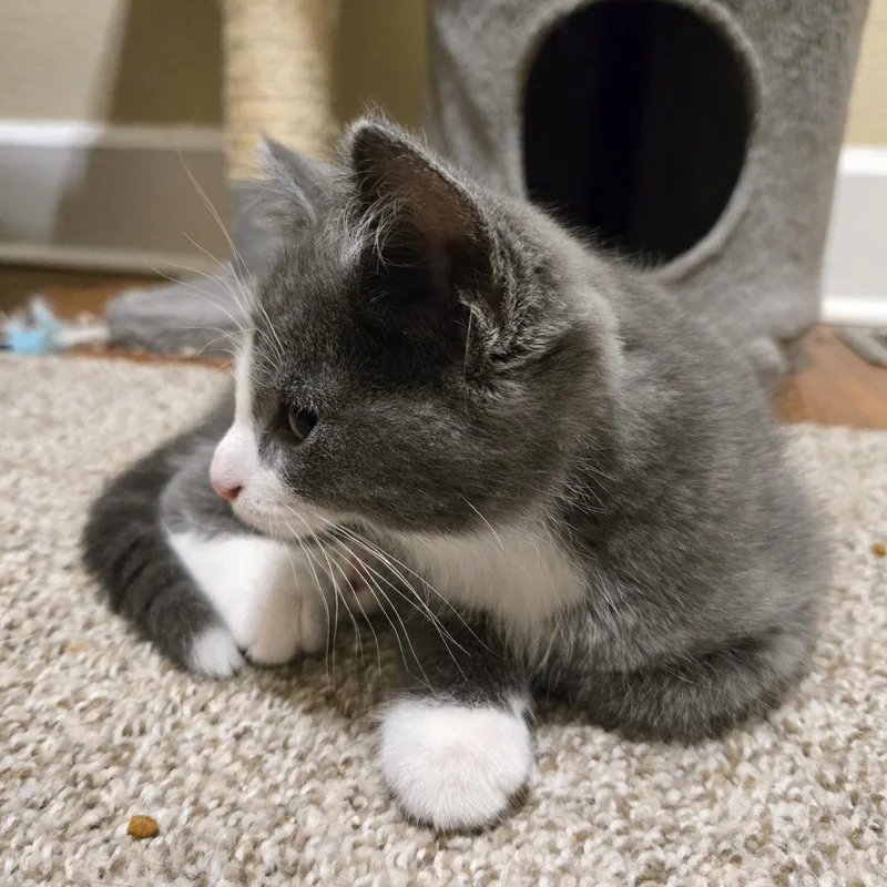 Riesling thumbnail 2