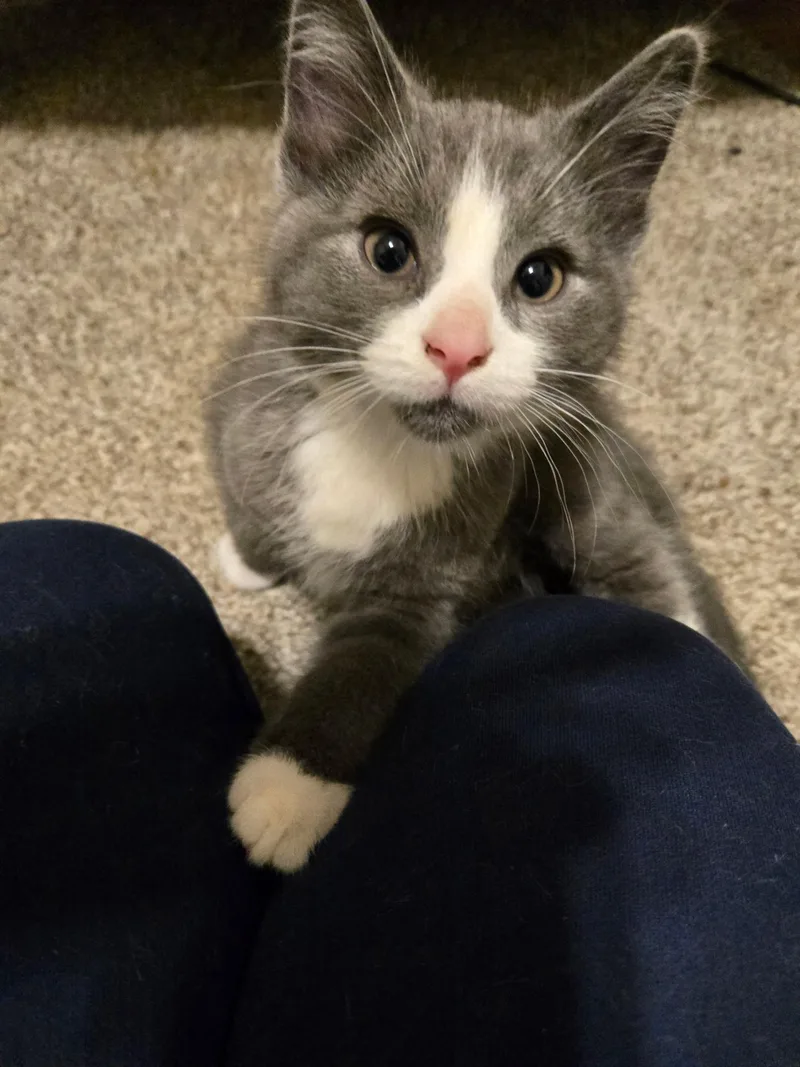 Riesling thumbnail 3