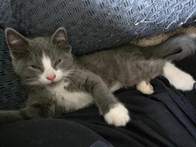 Riesling thumbnail 4