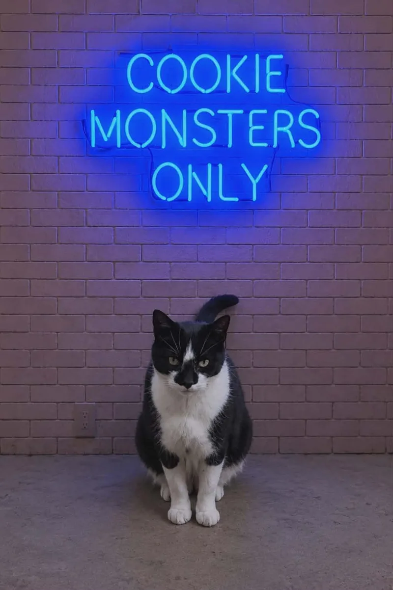 Cookie Monster thumbnail 4