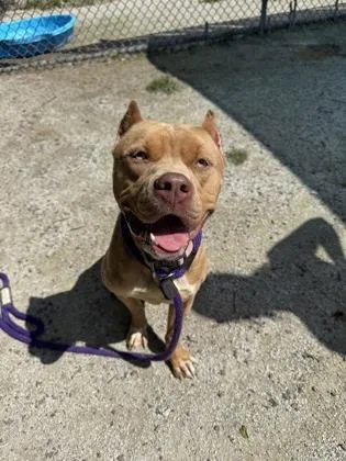 Bright Eyes thumbnail 2