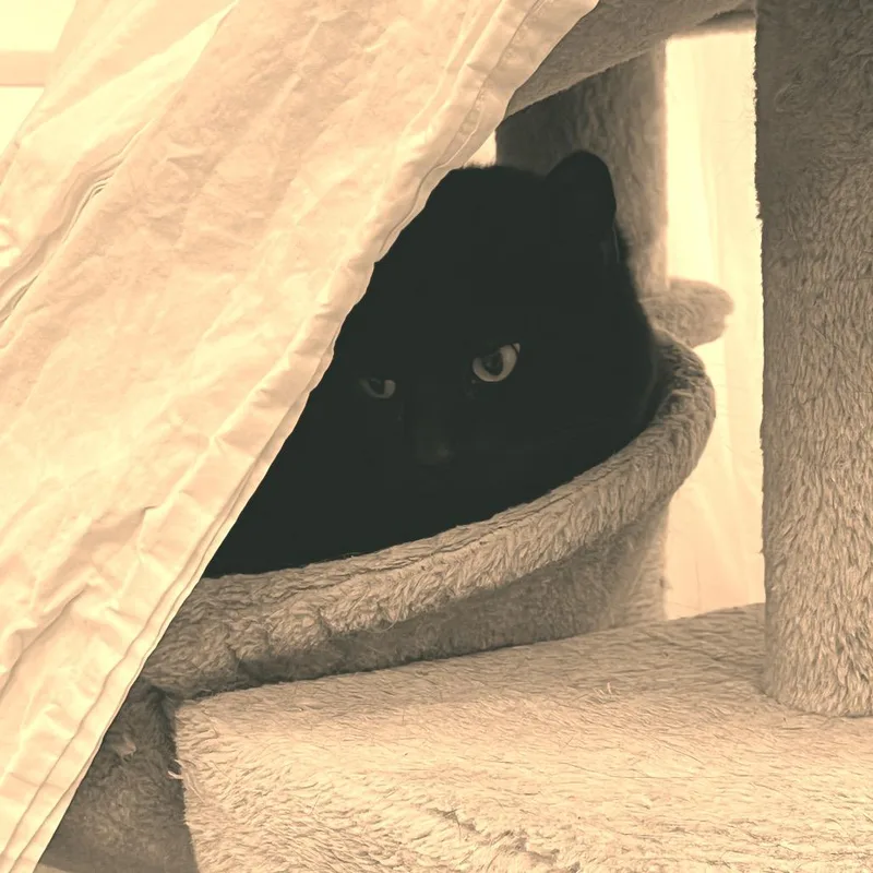 Mia thumbnail 2
