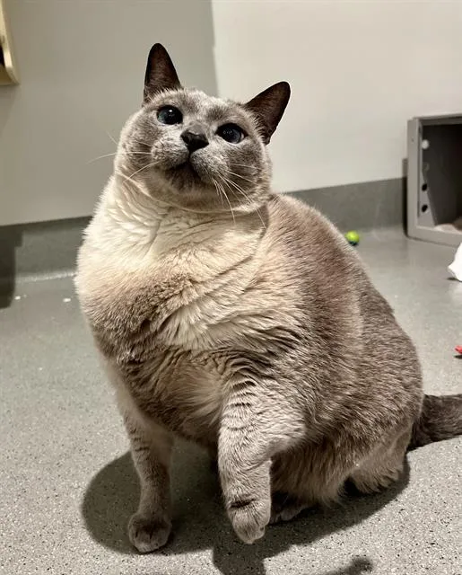 Jerry