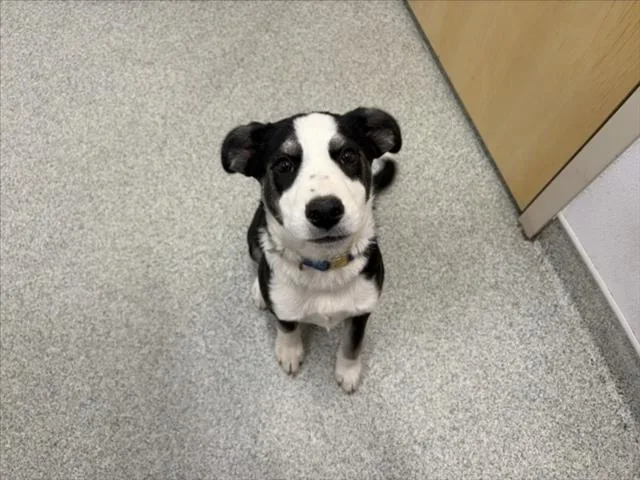 Winnie