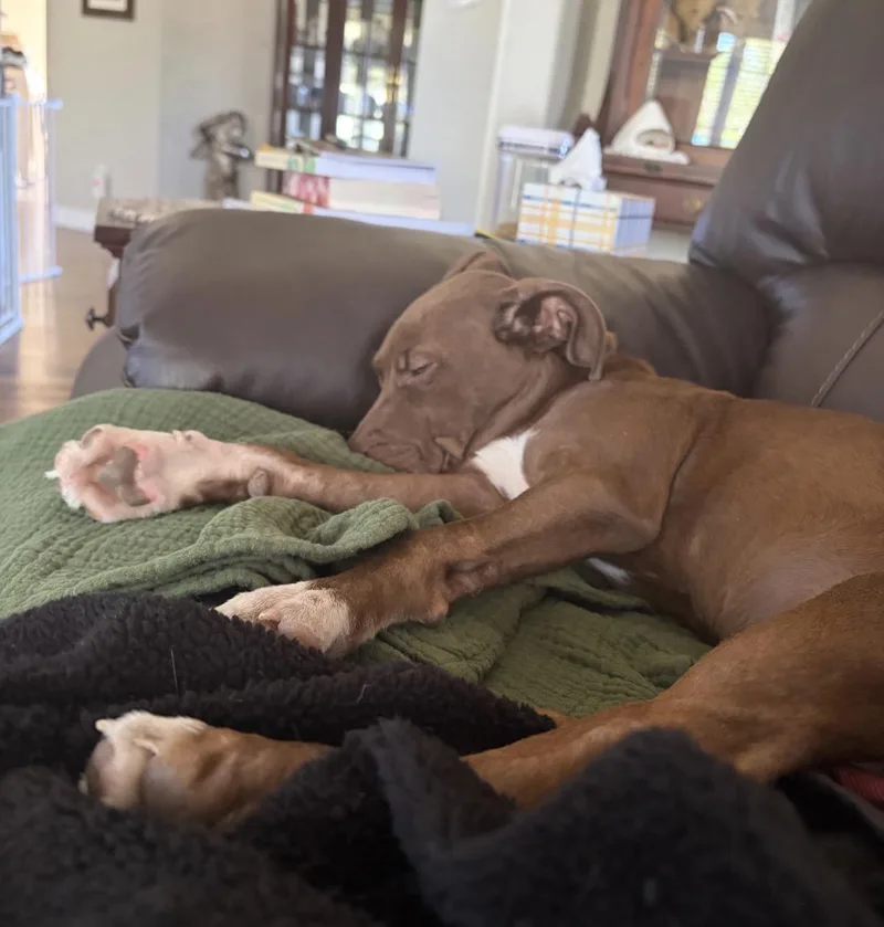 Coco