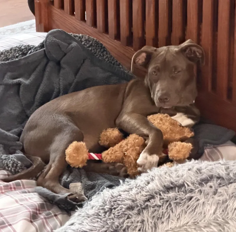 Coco thumbnail 4