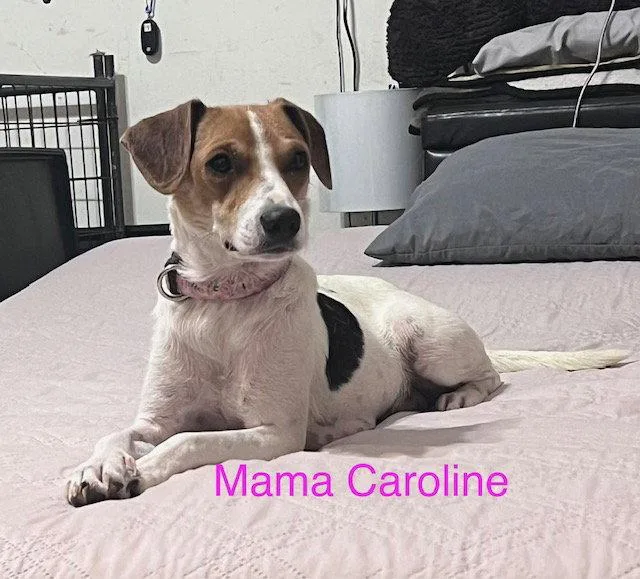 Caroline
