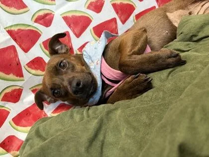 Minnie