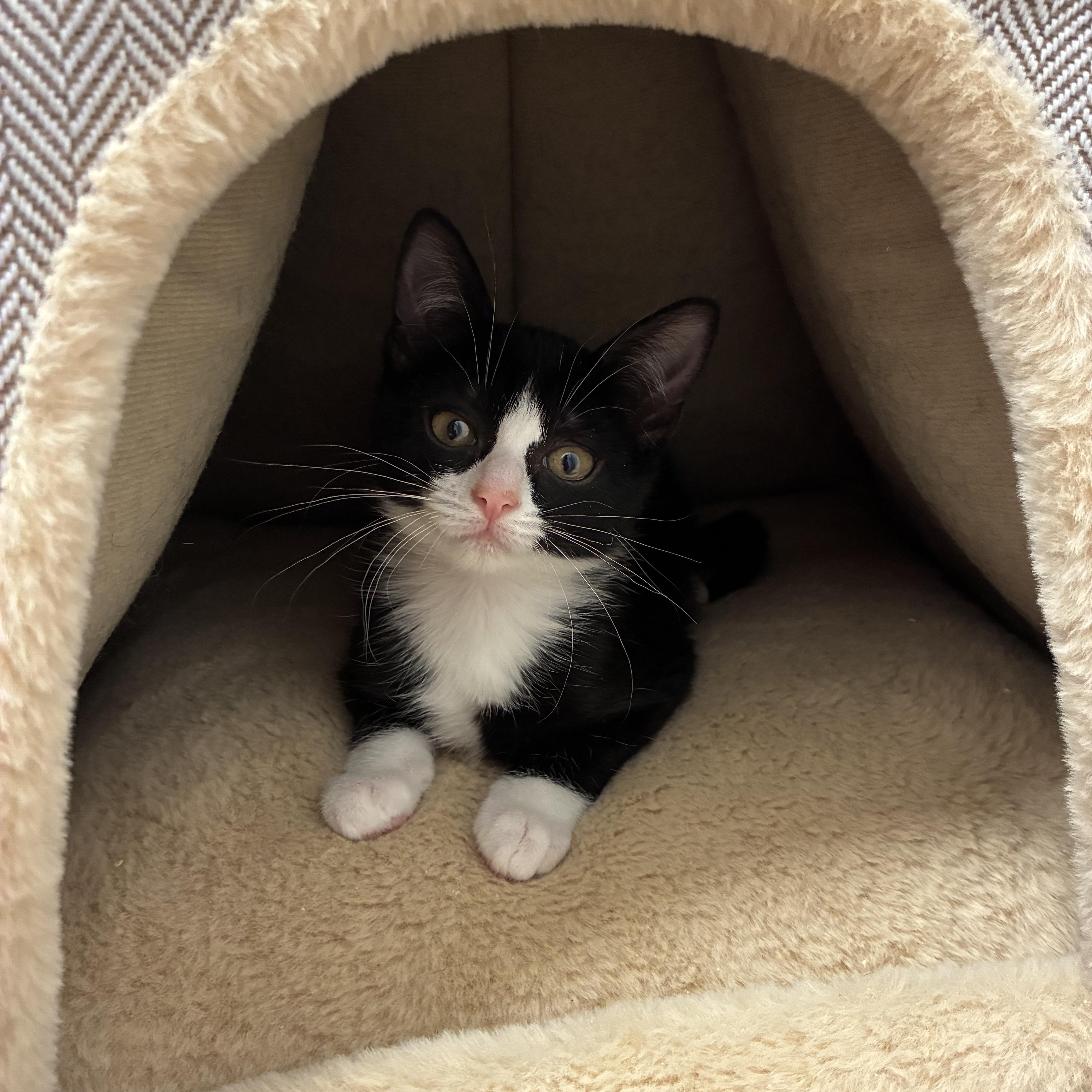 Didi & Kiki thumbnail 3