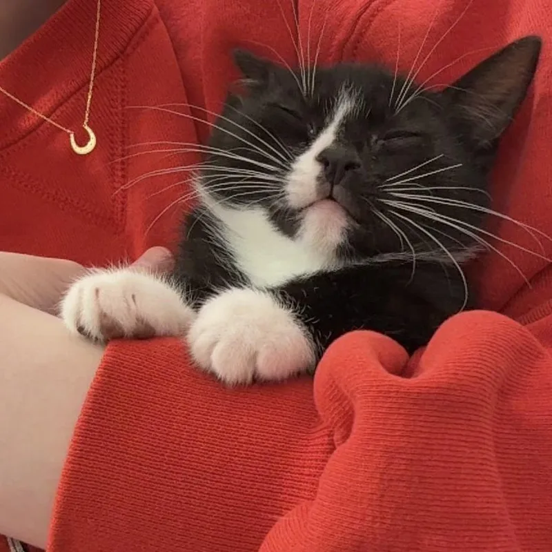 Didi & Kiki thumbnail 4