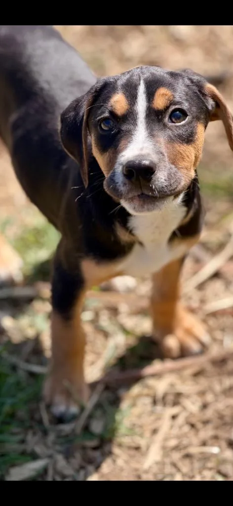 Iron Man thumbnail 2