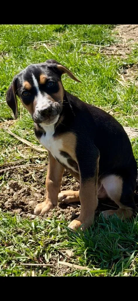 Iron Man thumbnail 3