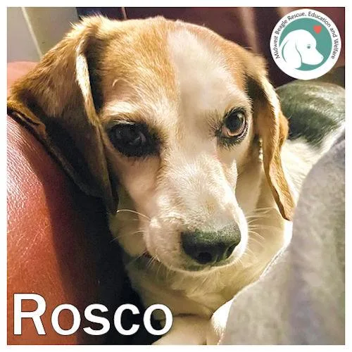 Rosco