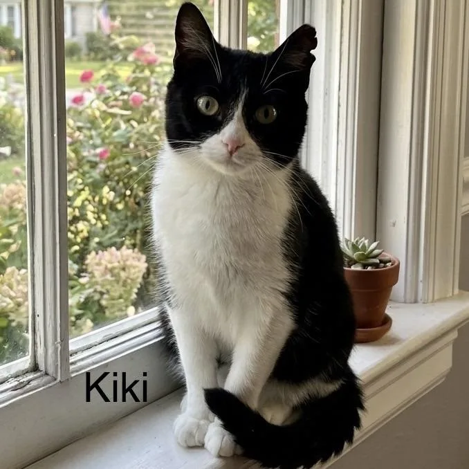 Kiki