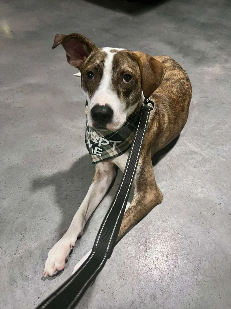 Mccartney thumbnail 2