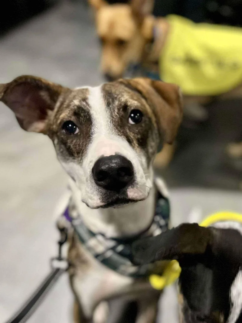 Mccartney thumbnail 3