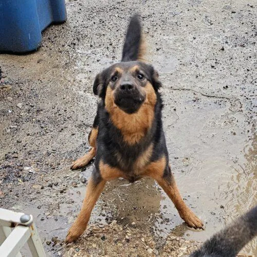 Ernie Maxwell thumbnail 5