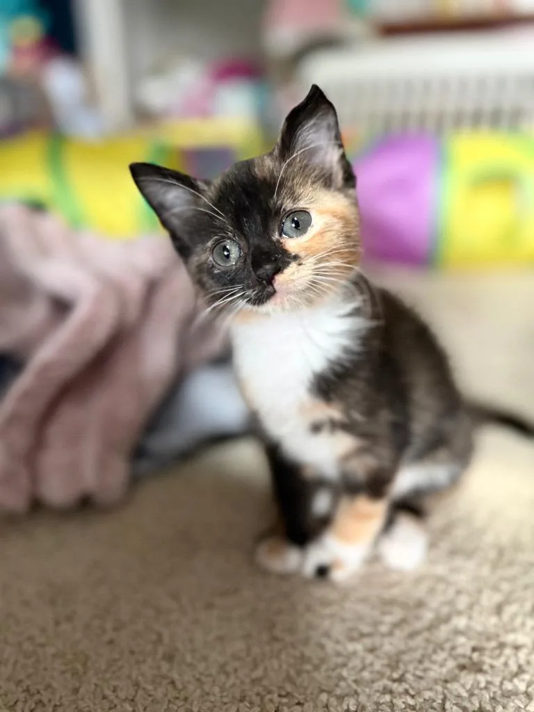 Bubbles thumbnail 2