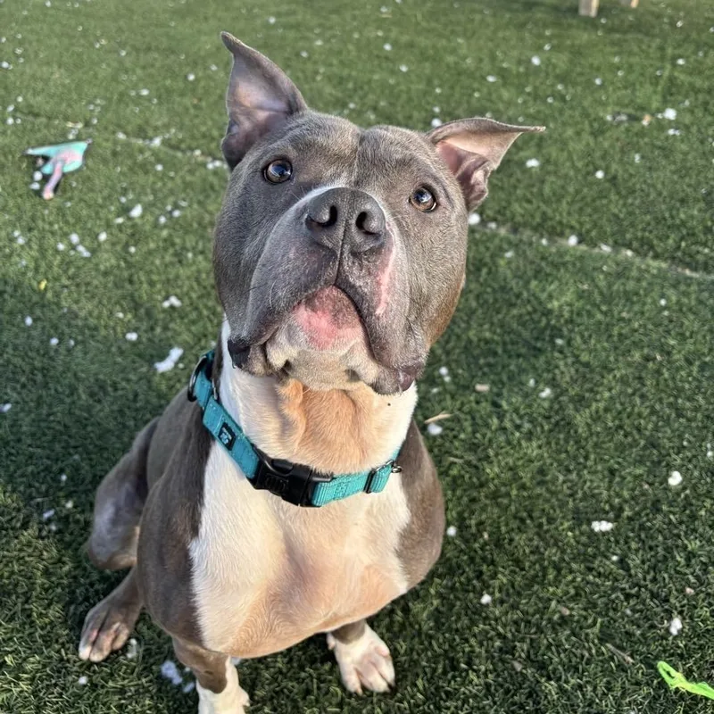 Jefferson thumbnail 2