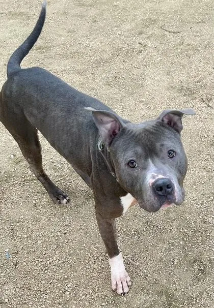 Jefferson thumbnail 3