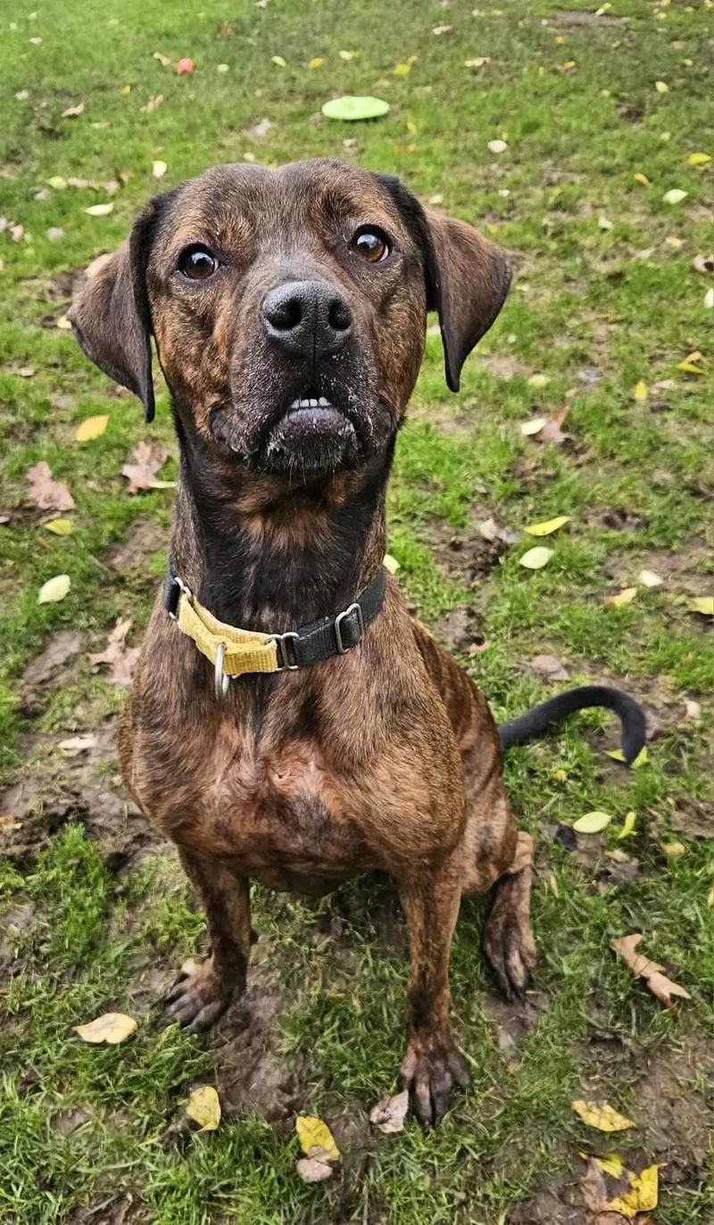 Bobbie Jo thumbnail 3