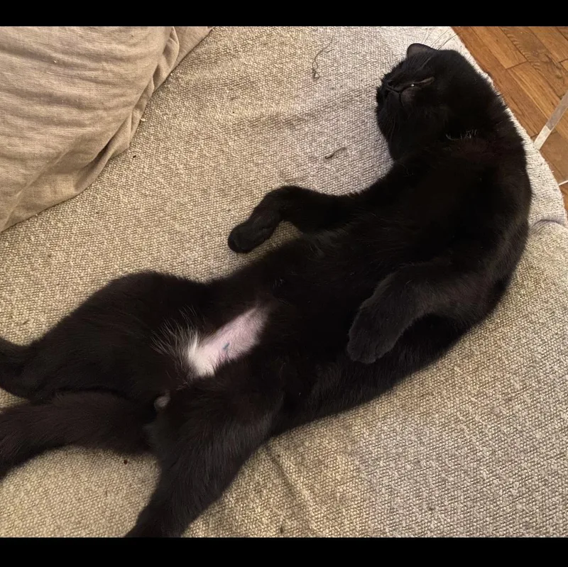 Cacio Y Pepe thumbnail 6