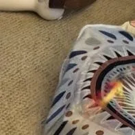 Tabitha  sweet tabby thumbnail 2