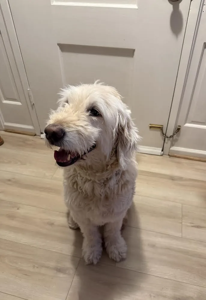 Charlie Frank thumbnail 2