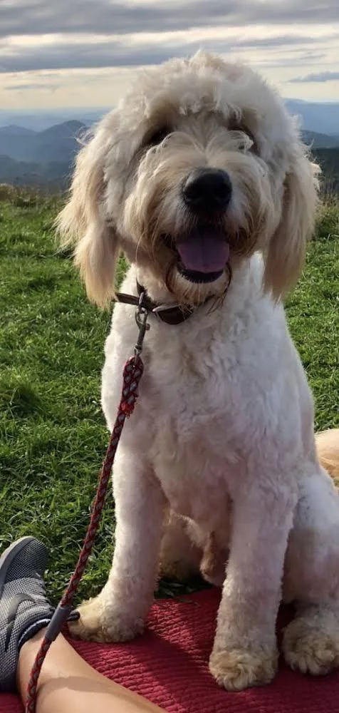 Charlie Frank thumbnail 3