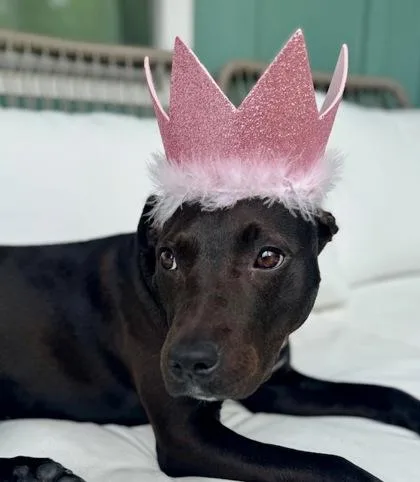Missy thumbnail 2