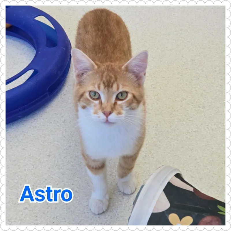 Astro thumbnail 2