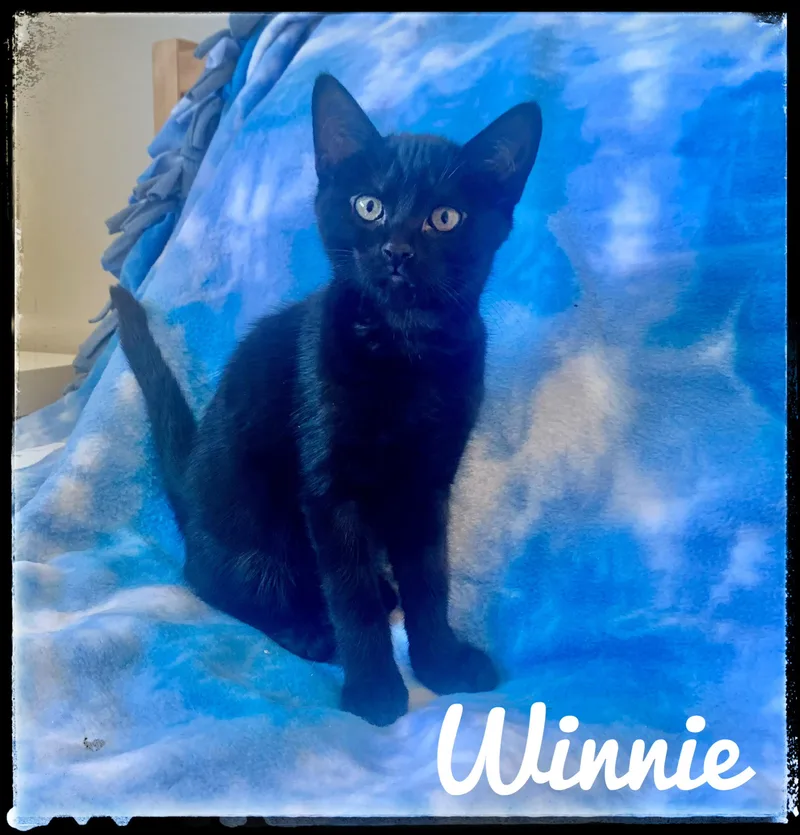 Winnie