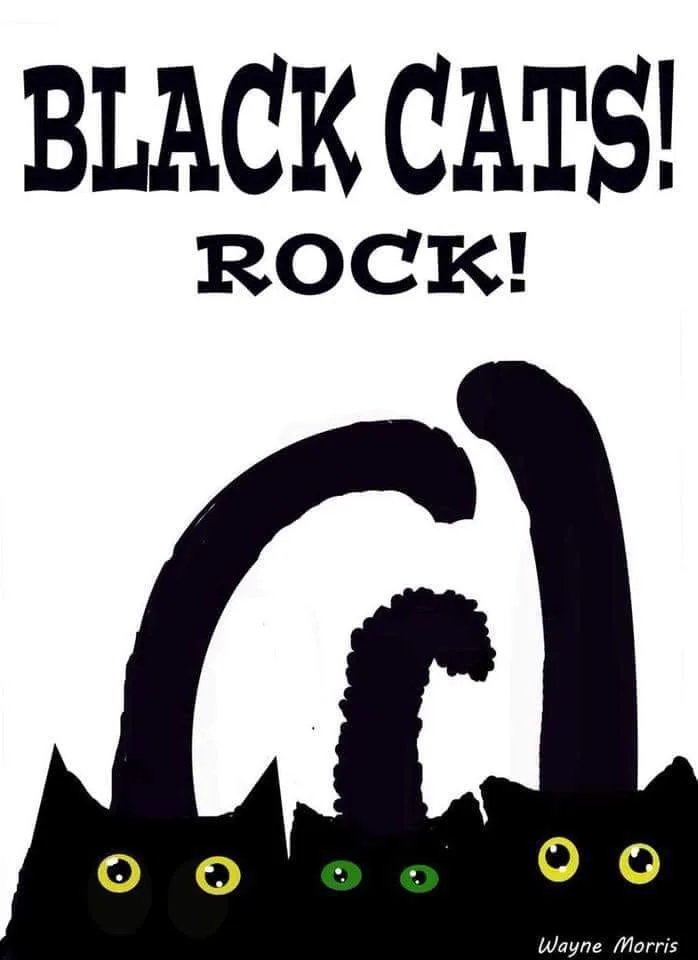 Binx New thumbnail 2