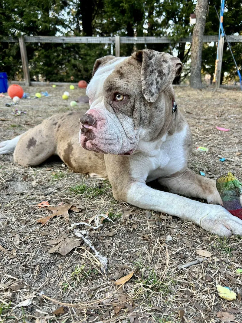 Bernadette thumbnail 3