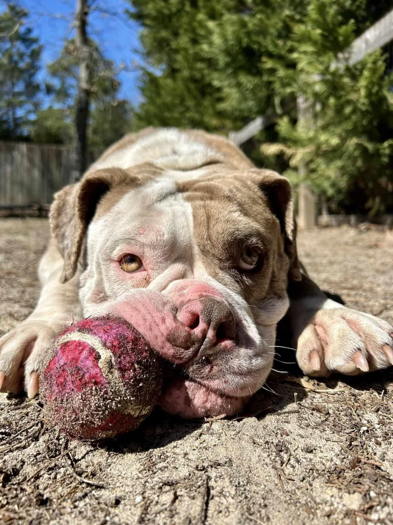 Bernadette thumbnail 4