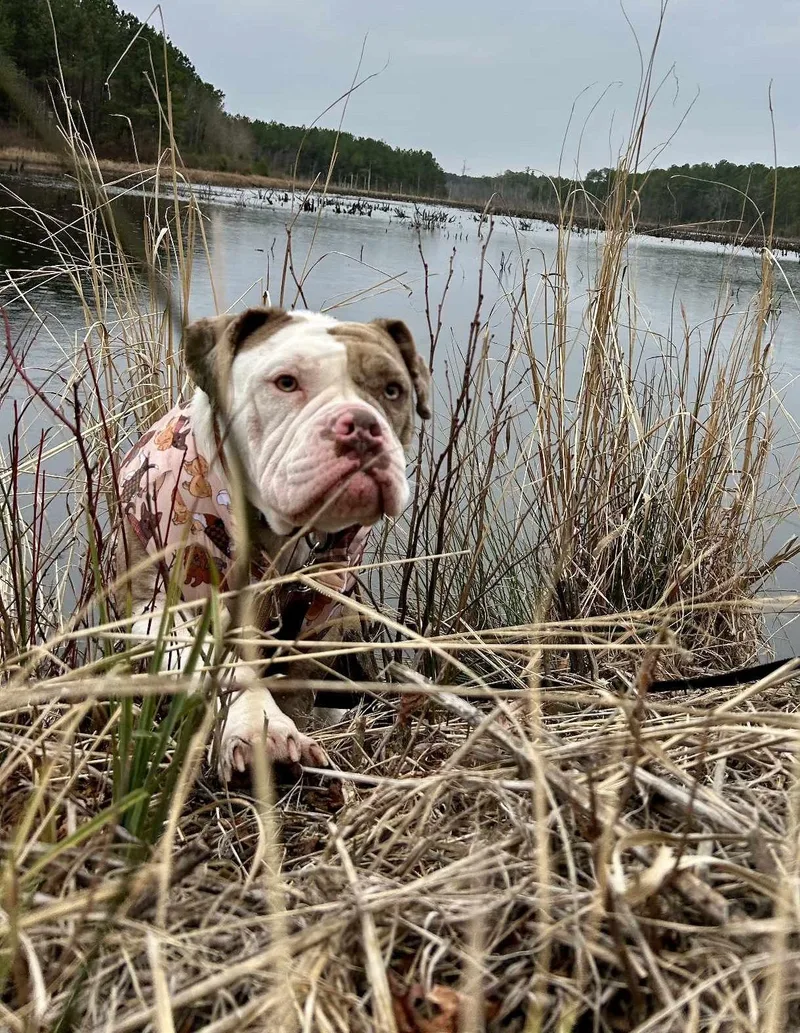 Bernadette thumbnail 5