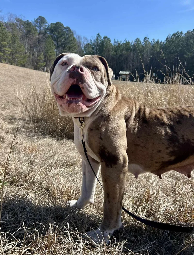 Bernadette thumbnail 6