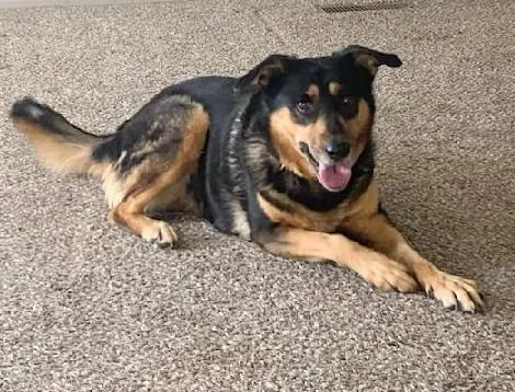 Samantha thumbnail 2