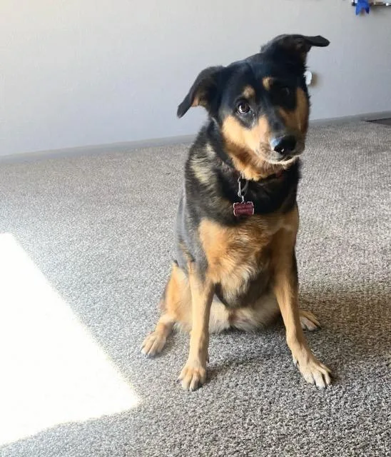 Samantha thumbnail 4